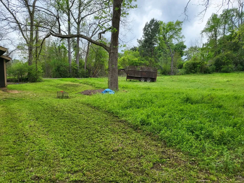 Affordable yard cleanup service for residential properties in Crockett, TX by ABP Lawn Care