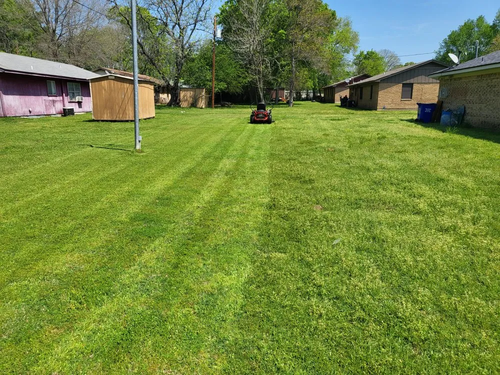 Affordable yard cleanup service in Crockett, TX by ABP Lawn Care