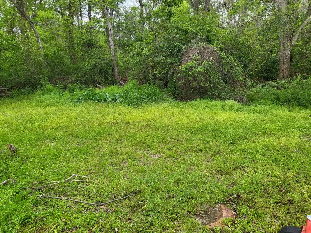 Trusted residential landscaping experts serving Crockett, TX - ABP Lawn Care