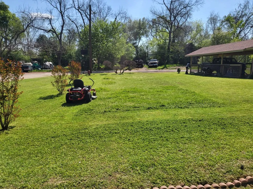 Affordable lawn care service for year-round maintenance across Crockett, TX - ABP Lawn Care