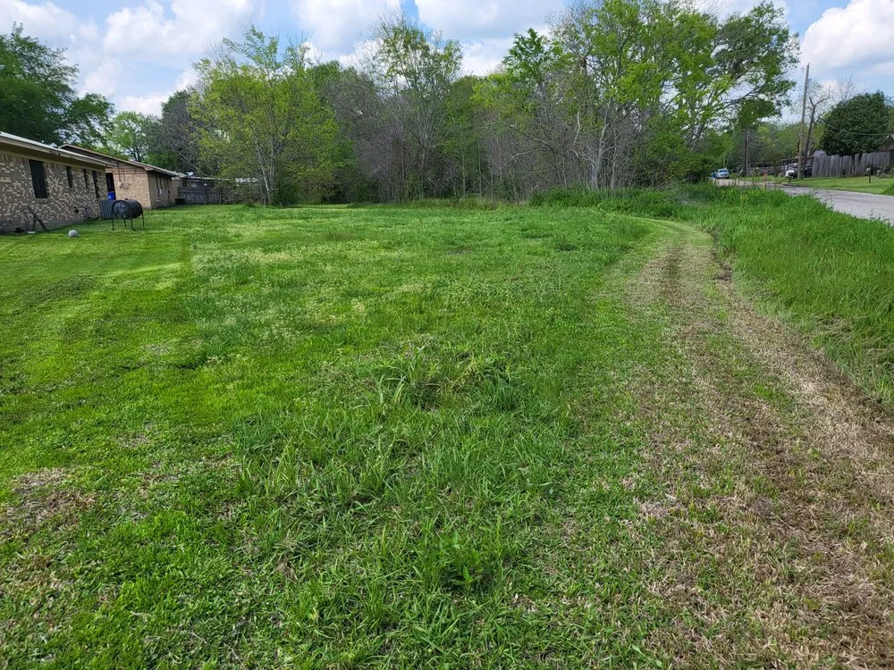 Affordable yard maintenance in Crockett, TX by ABP Lawn Care