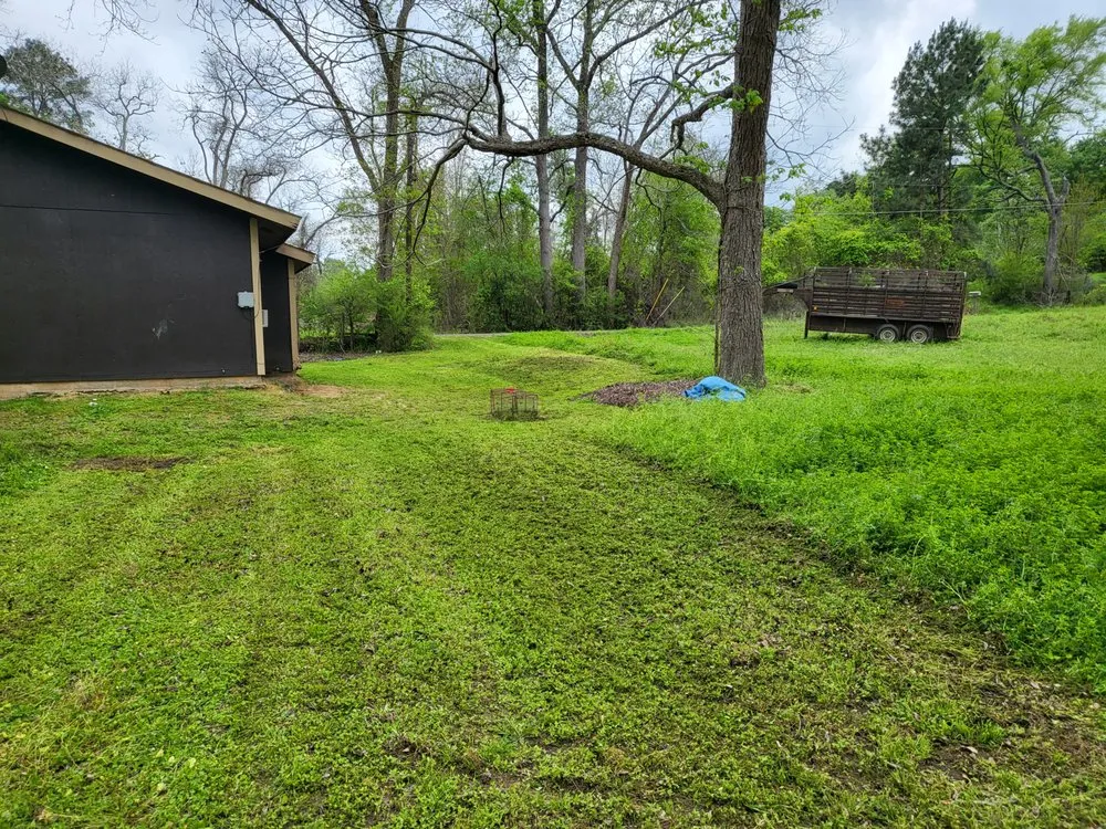 Custom lawn care service for outdoor upgrades in Crockett, TX by ABP Lawn Care