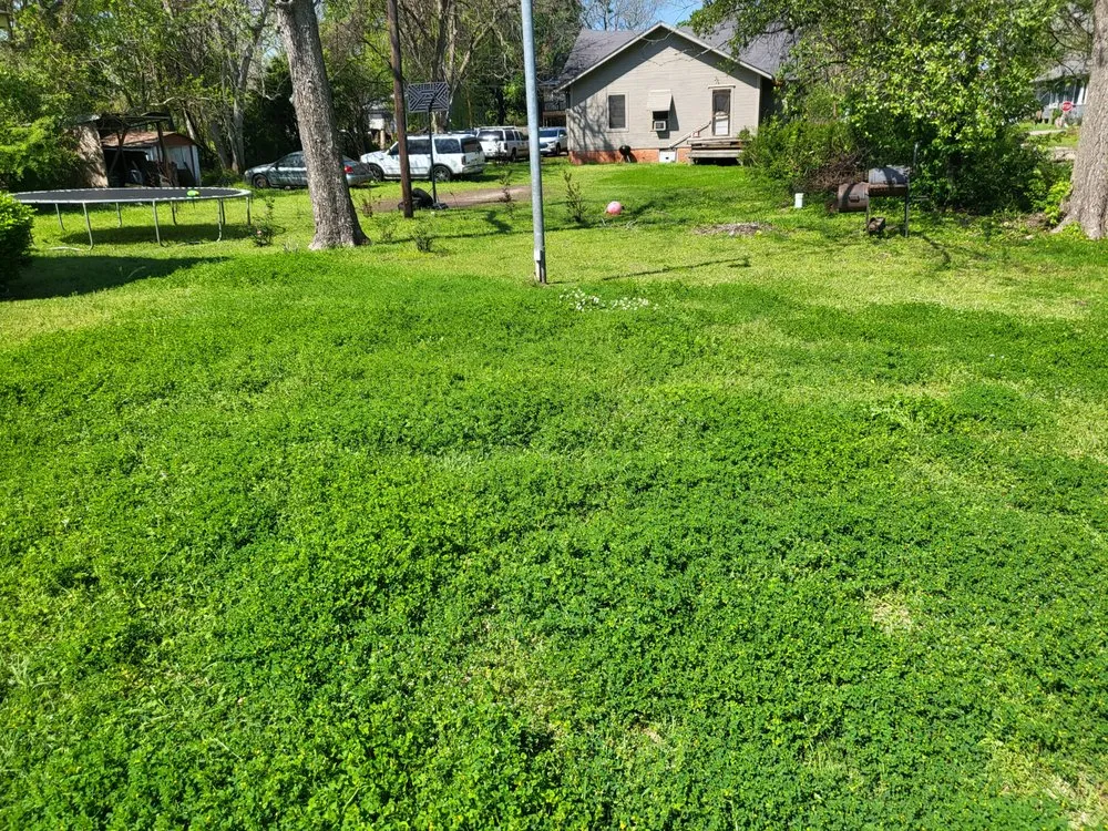 Expert outdoor landscaping for residential properties across Crockett, TX - ABP Lawn Care