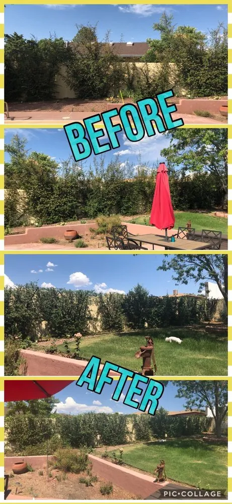 Trusted lawn care service for year-round maintenance across Albuquerque, NM - ABQ Landscaping & Maintenance
