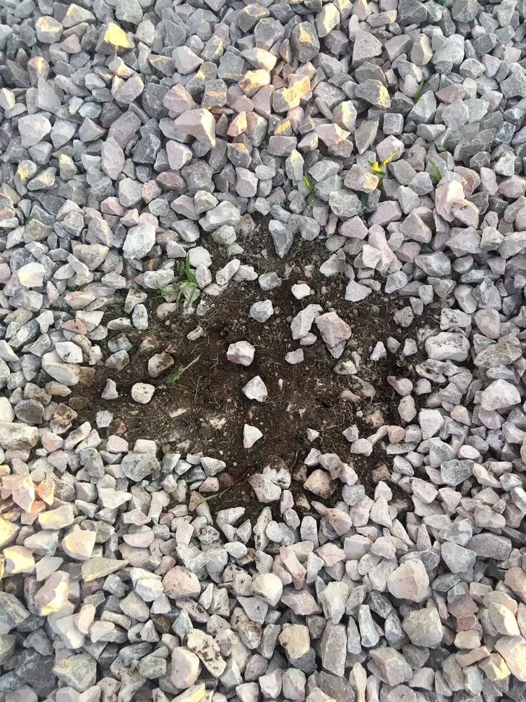 Trusted lawn mowing service in Albuquerque, NM - ABQ Landscaping & Maintenance