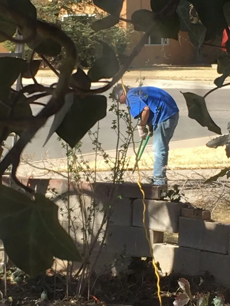 Local landscaping services for beautiful yards across Albuquerque, NM - ABQ Landscaping & Maintenance