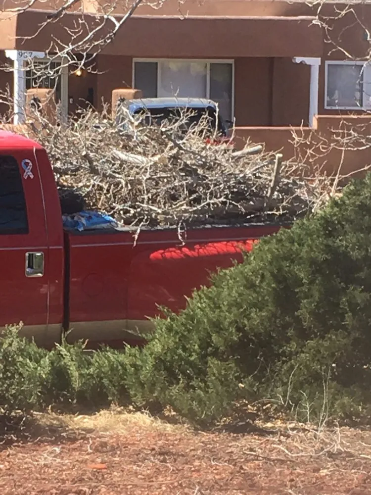 Professional outdoor landscaping near you in Albuquerque, NM by ABQ Landscaping & Maintenance