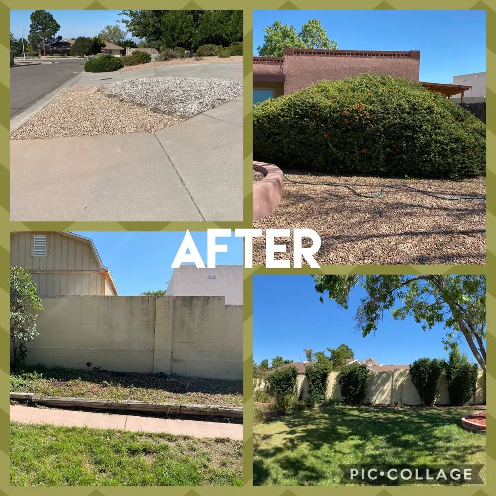 Top-rated landscaping services in Albuquerque, NM by ABQ Landscaping & Maintenance