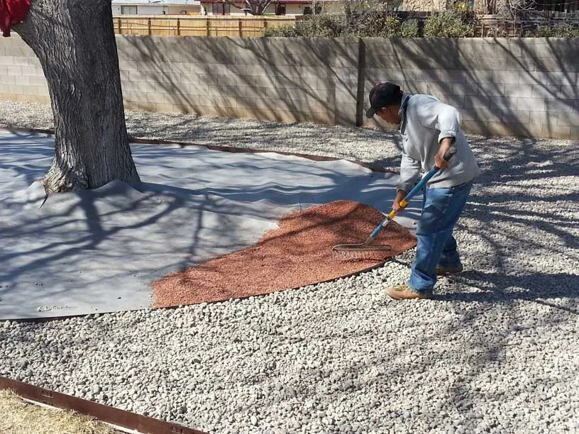 Trusted lawn care service in Albuquerque, NM - ABQ Landscaping