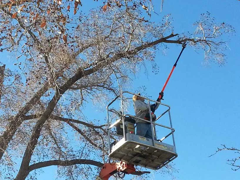 Professional lawn care service in Albuquerque, NM - ABQ Landscaping