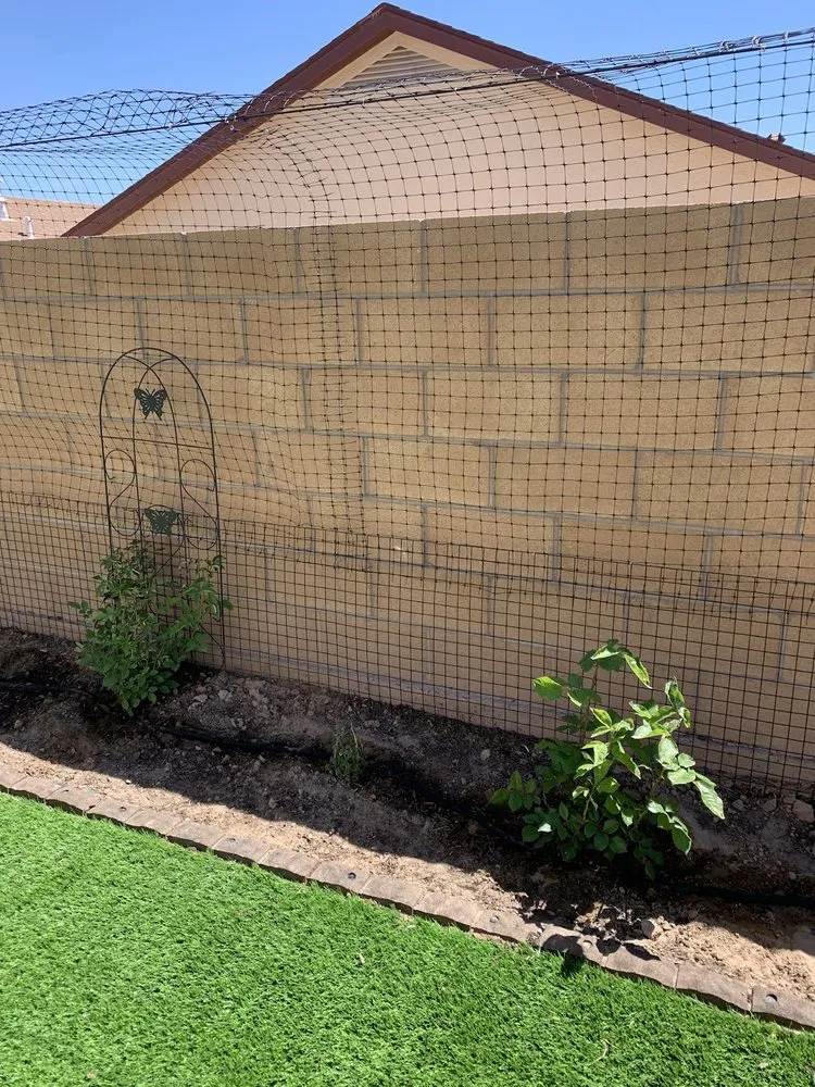 Custom yard maintenance in Albuquerque, NM by ABQ Landscaping