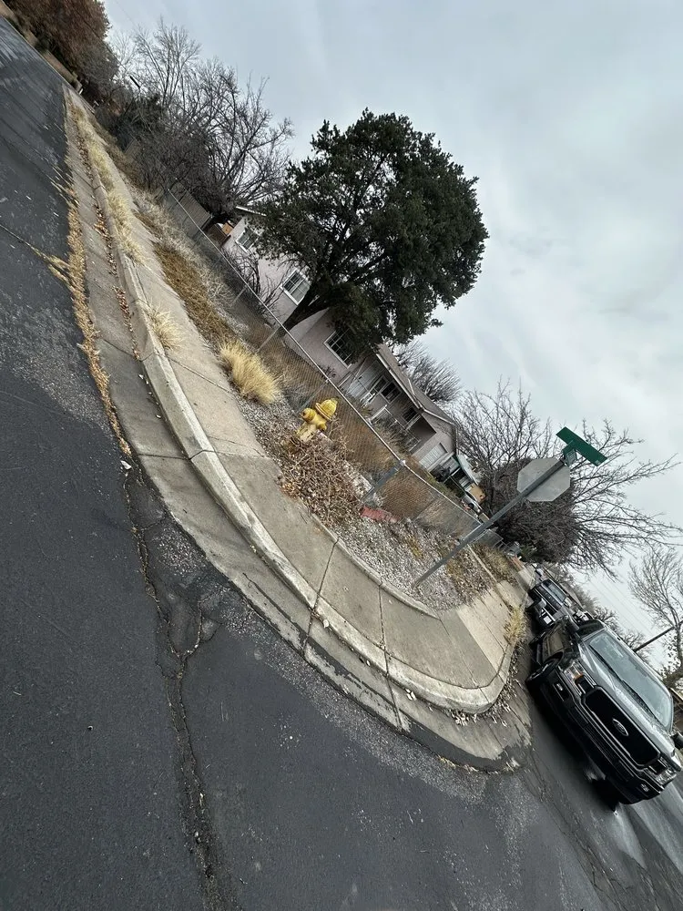 Top-rated yard cleanup service for residential properties across Albuquerque, NM - ABQ Top Tier Solutions