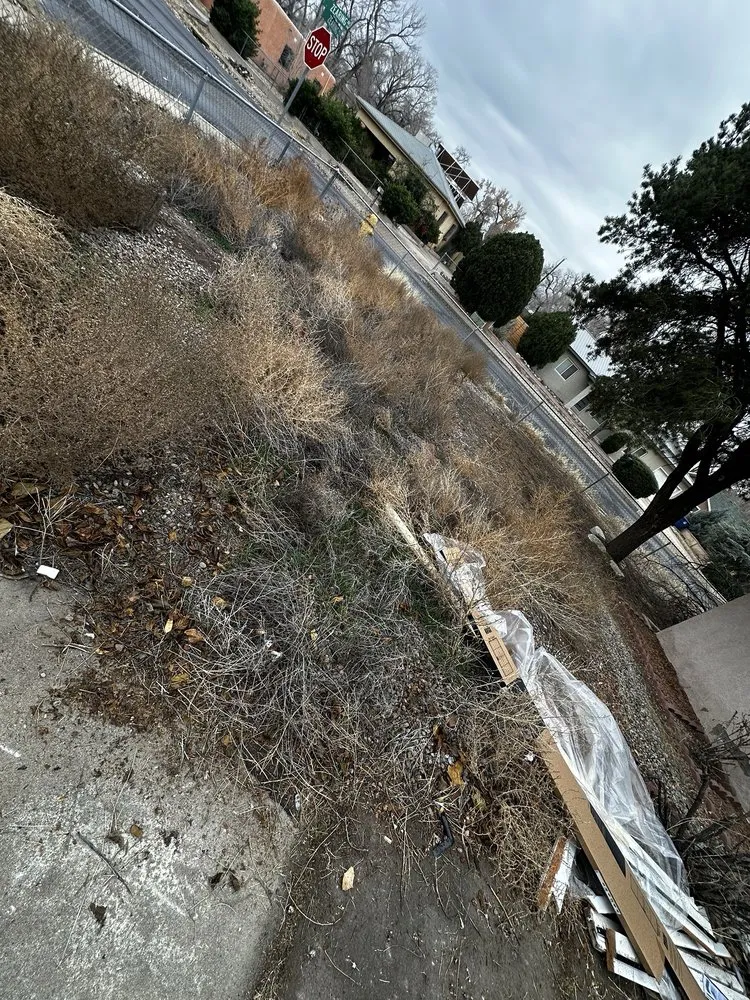 Trusted yard cleanup service in Albuquerque, NM by ABQ Top Tier Solutions