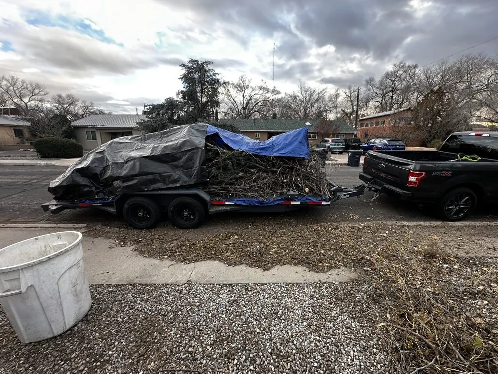 Local landscaping services for beautiful yards in Albuquerque, NM by ABQ Top Tier Solutions