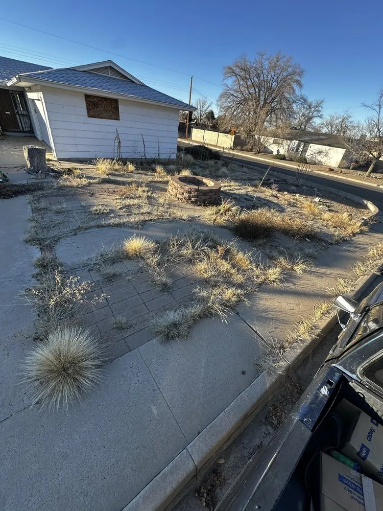 Affordable landscape design in Albuquerque, NM - ABQ Top Tier Solutions