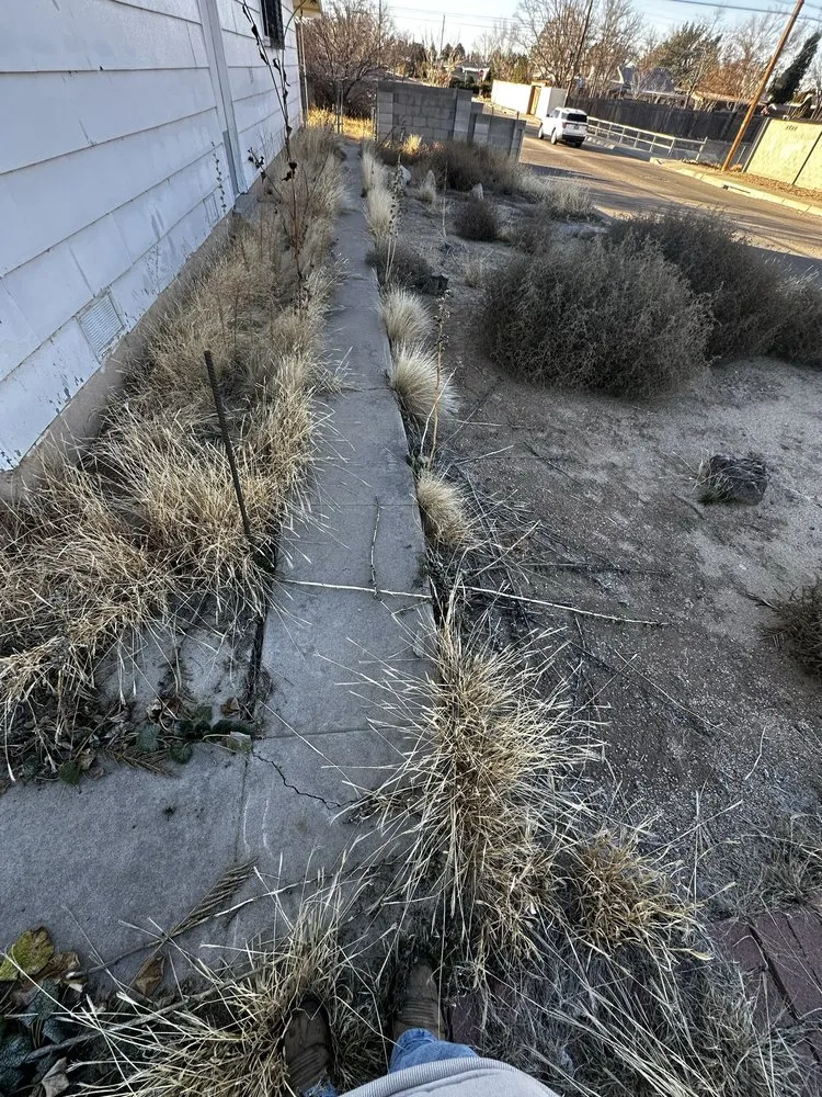 Top-rated lawn mowing service in Albuquerque, NM - ABQ Top Tier Solutions