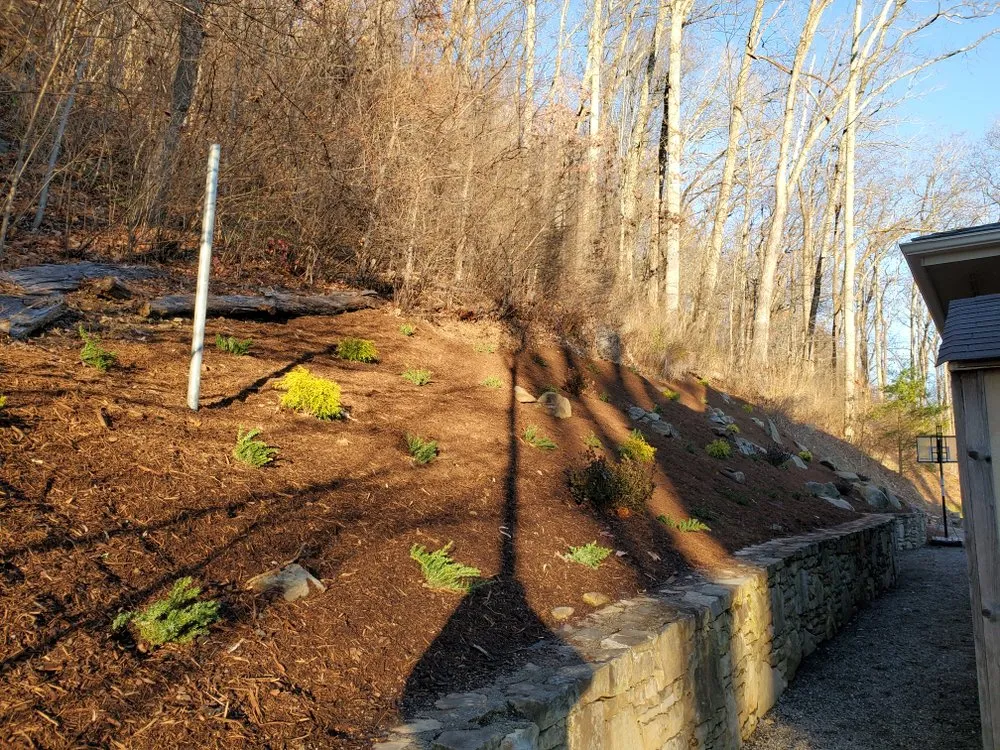 Trusted lawn care service in Asheville, NC by ABR Landscaping & Hardscaping