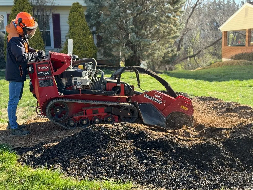 Expert yard maintenance in Cloverdale, VA by AB&R Landscaping
