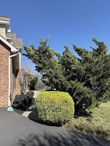 Trusted landscaping services for outdoor upgrades across Cloverdale, VA - AB&R Landscaping