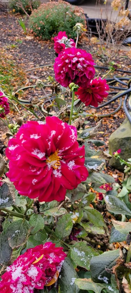 Trusted outdoor landscaping experts serving Grand Rapids, MI - Abra Lawncare & Yard Maintenance