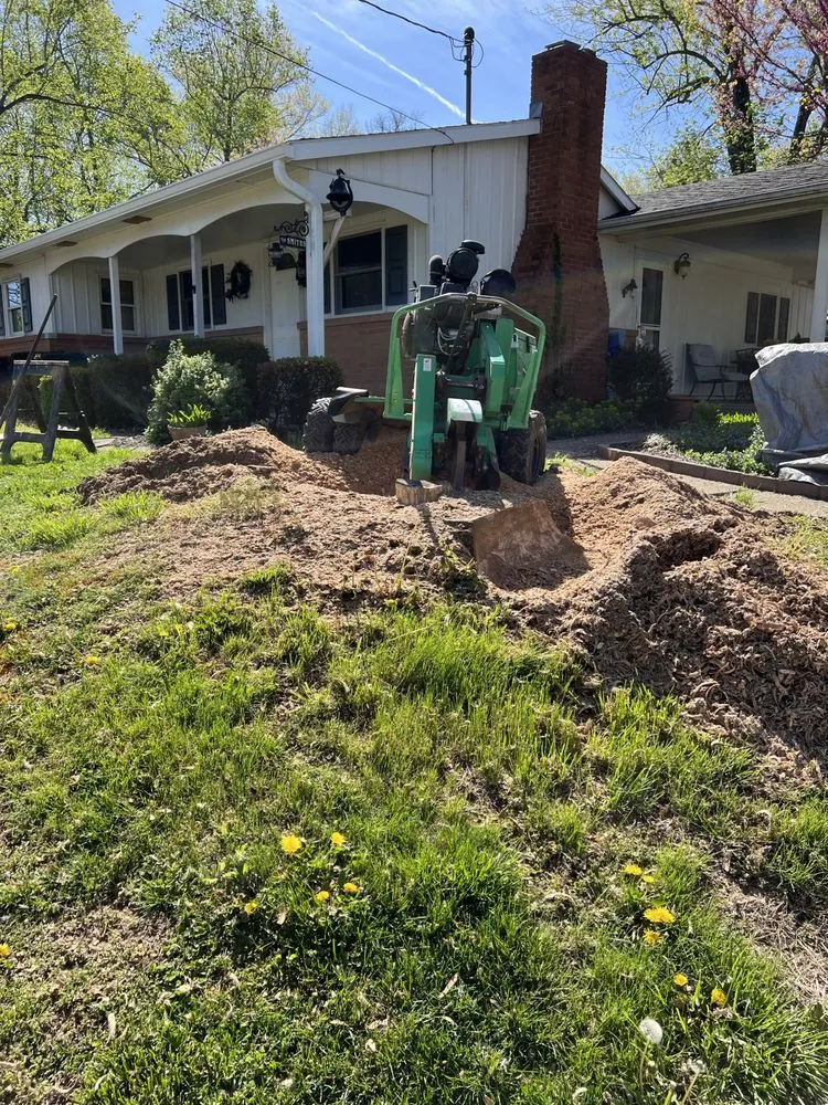 Top-rated landscaping services for outdoor upgrades in Chandler, IN by Abracadabra Stump Grinding
