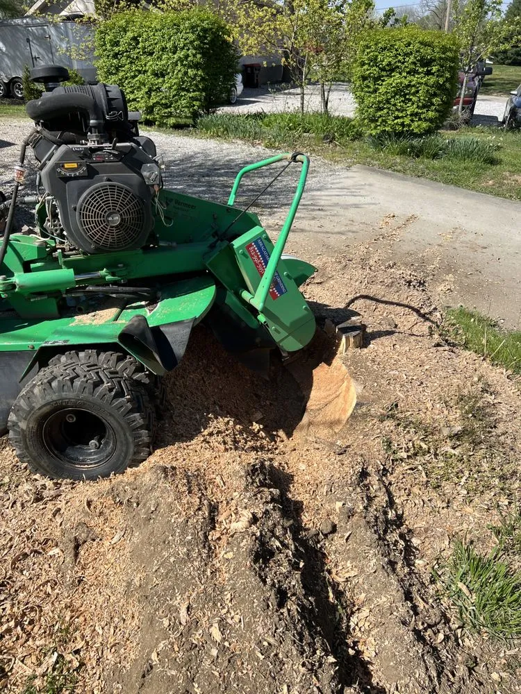 Top-rated lawn care service in Chandler, IN - Abracadabra Stump Grinding