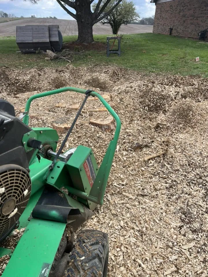 Top-rated lawn care service in Chandler, IN - Abracadabra Stump Grinding
