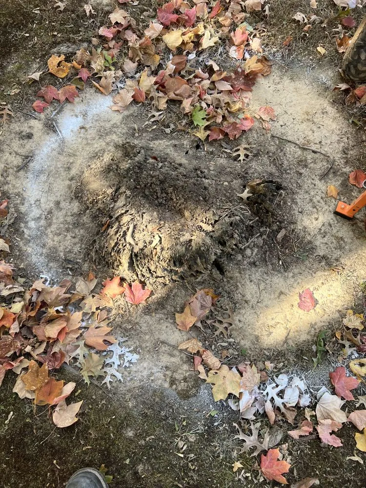 Reliable yard maintenance with custom design across Chandler, IN - Abracadabra Stump Grinding