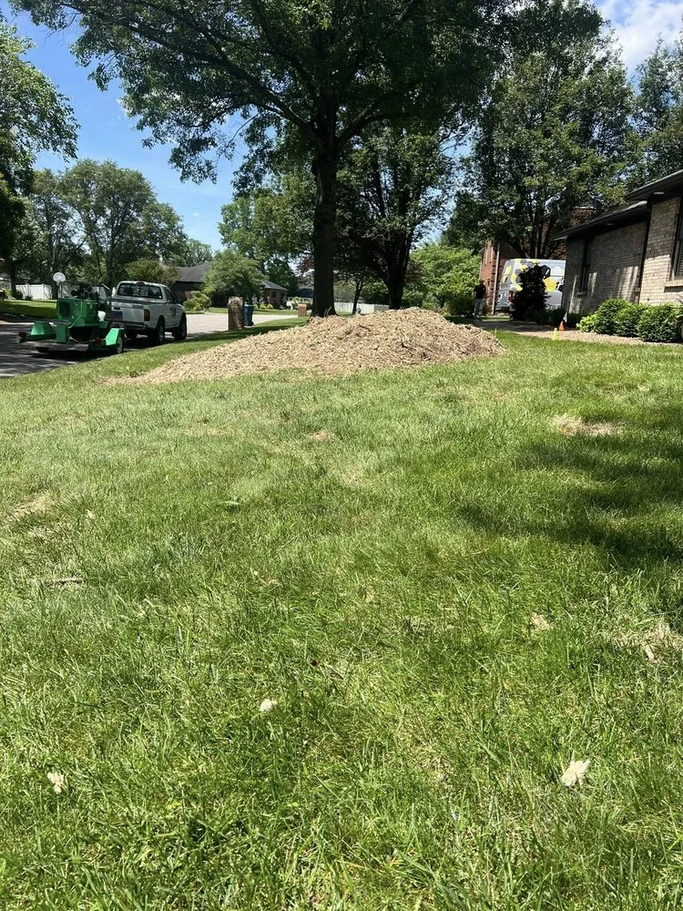 Affordable lawn mowing service with custom design in Chandler, IN by Abracadabra Stump Grinding