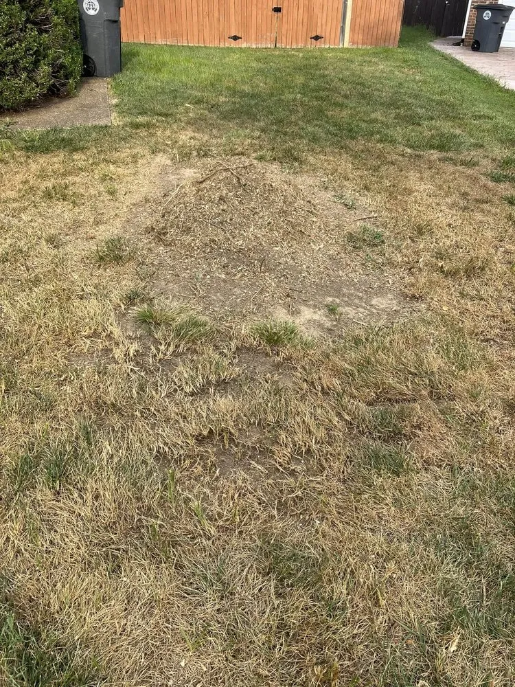 Affordable garden landscaping in Chandler, IN - Abracadabra Stump Grinding