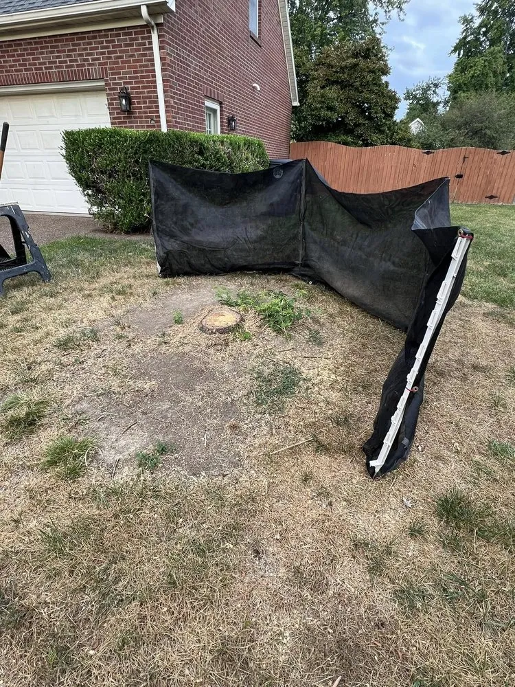 Top-rated lawn care service for homes in Chandler, IN by Abracadabra Stump Grinding