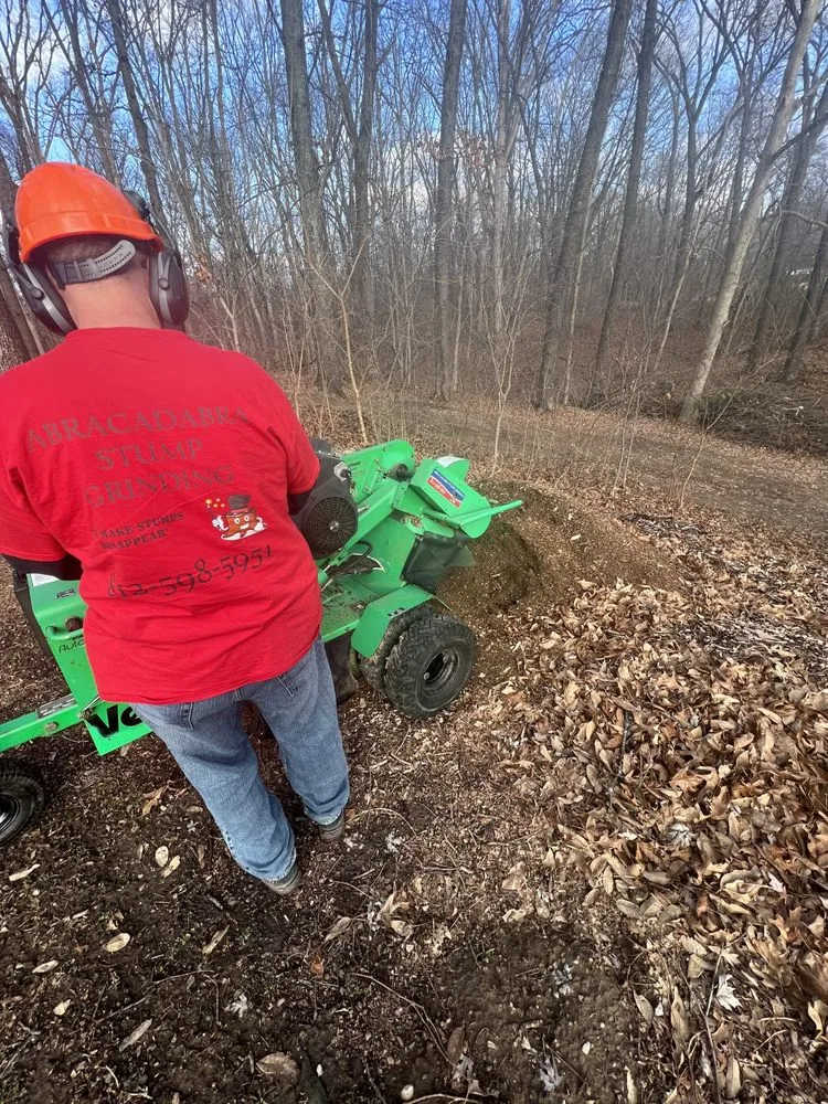 Affordable landscape design near you across Chandler, IN - Abracadabra Stump Grinding