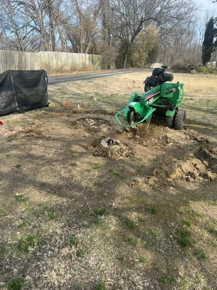 Affordable residential landscaping for beautiful yards across Chandler, IN - Abracadabra Stump Grinding