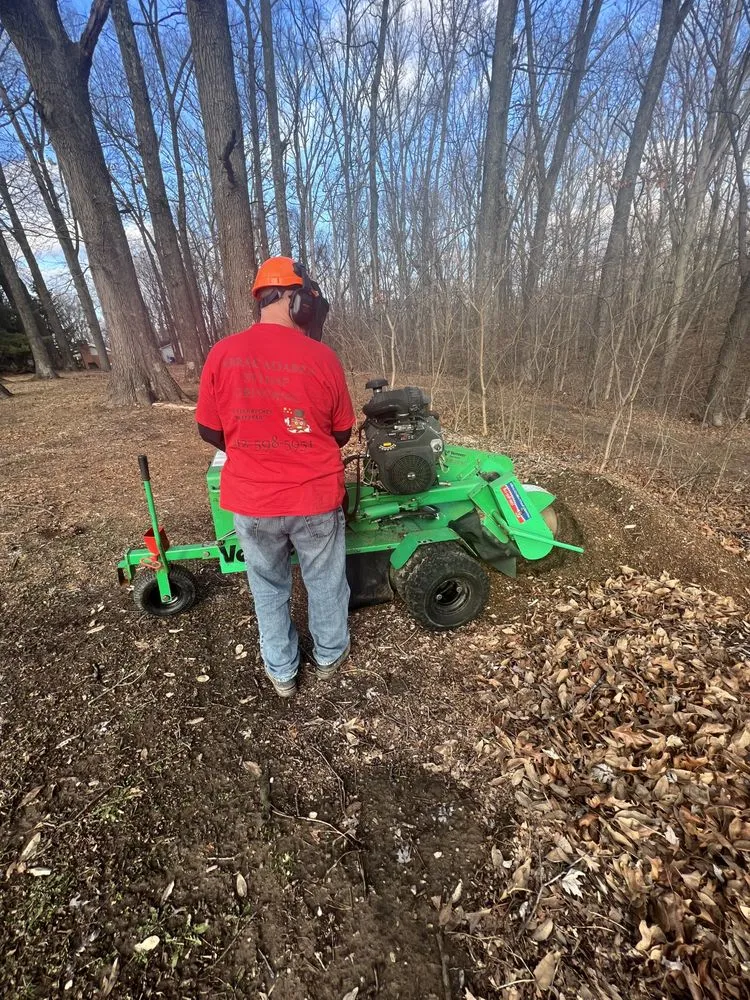 Expert residential landscaping for outdoor upgrades in Chandler, IN by Abracadabra Stump Grinding
