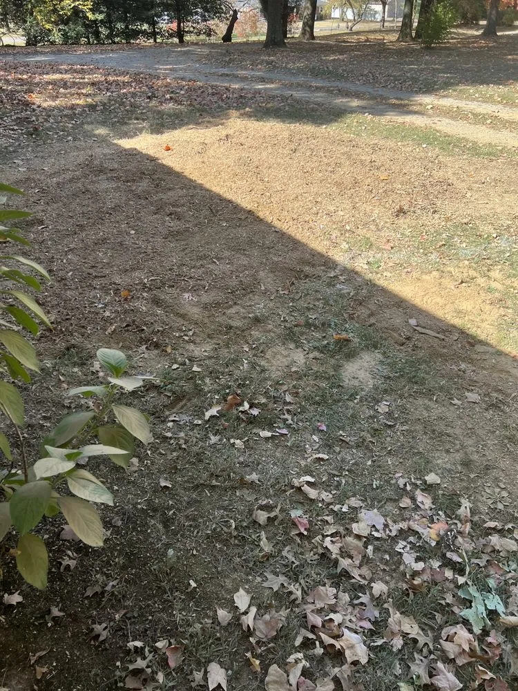 Local outdoor landscaping experts serving Chandler, IN - Abracadabra Stump Grinding