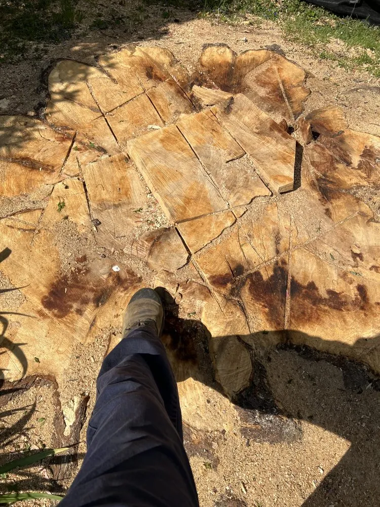 Top-rated landscape installation experts serving Chandler, IN - Abracadabra Stump Grinding