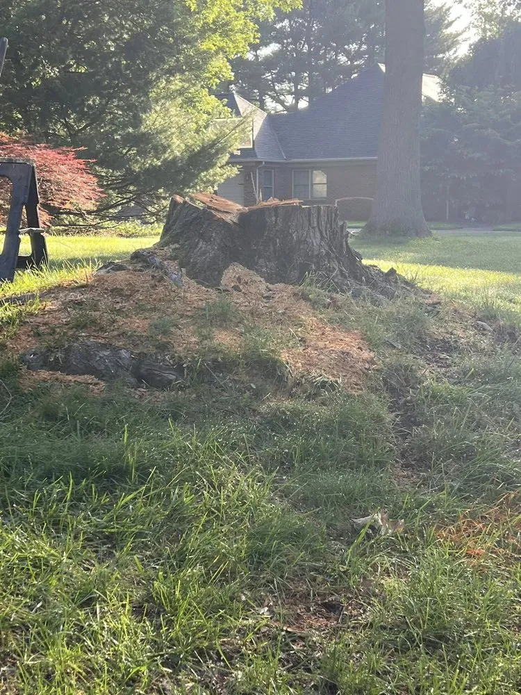 Reliable lawn mowing service experts serving Chandler, IN - Abracadabra Stump Grinding