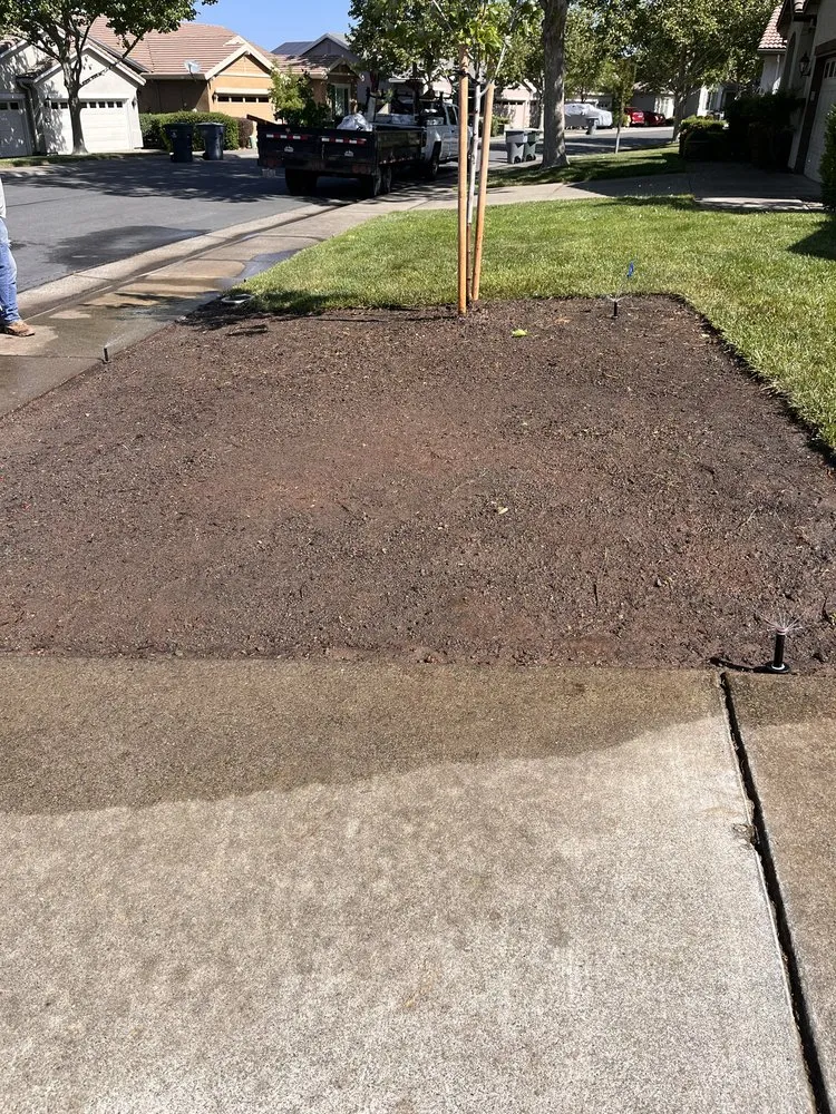 Expert yard cleanup service for beautiful yards in Citrus Heights, CA by Abraham Landscape