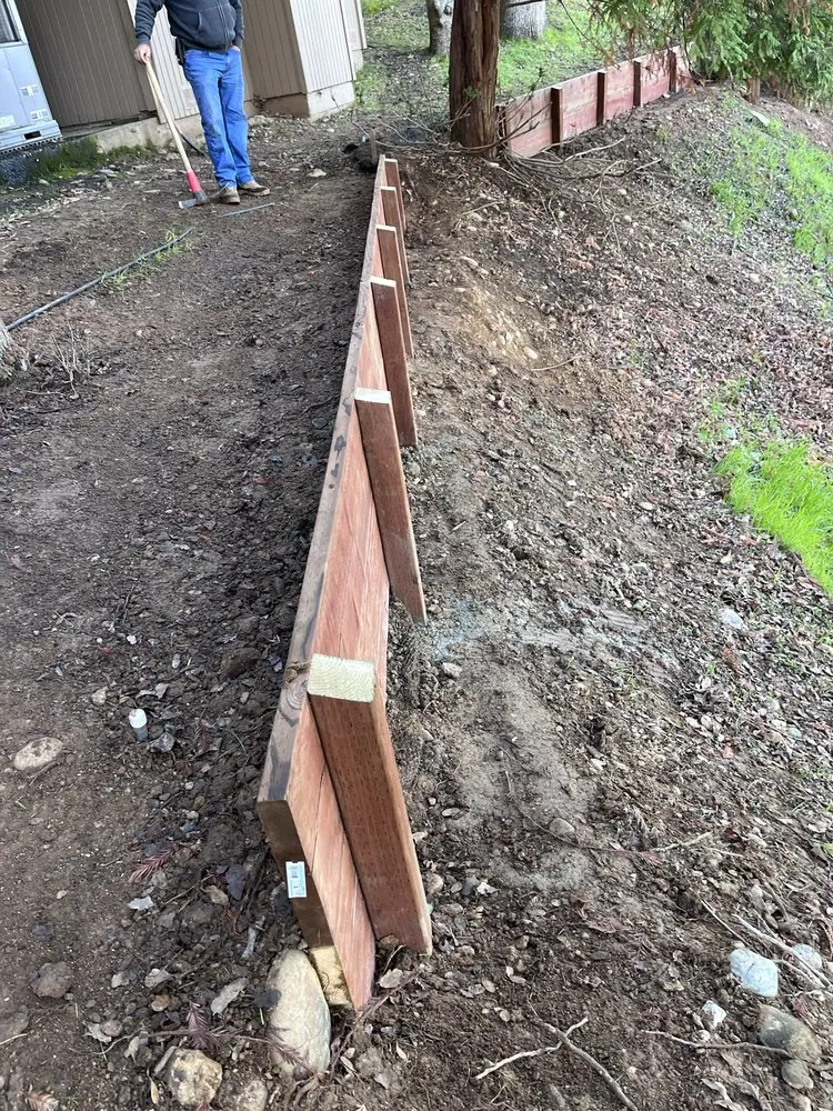 Professional yard cleanup service experts serving Citrus Heights, CA - Abraham Landscape