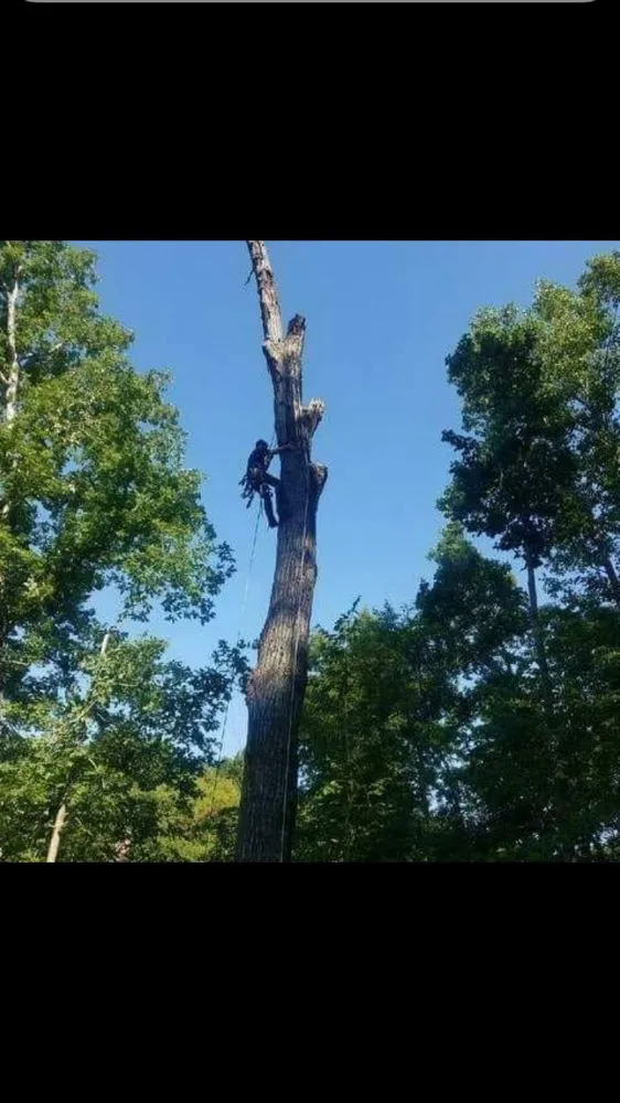 Affordable outdoor landscaping for residential properties in Franklin Township, NJ by Abraham Landscaping and Tree Service