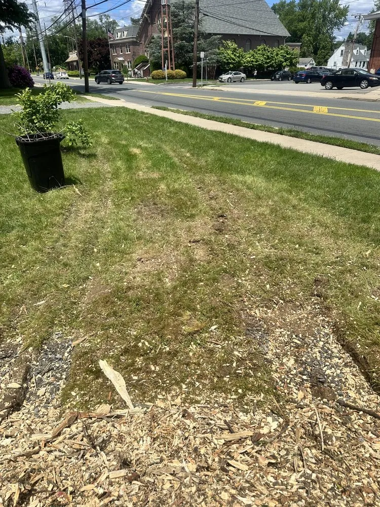 Trusted outdoor landscaping near you across Franklin Township, NJ - Abraham Landscaping and Tree Service