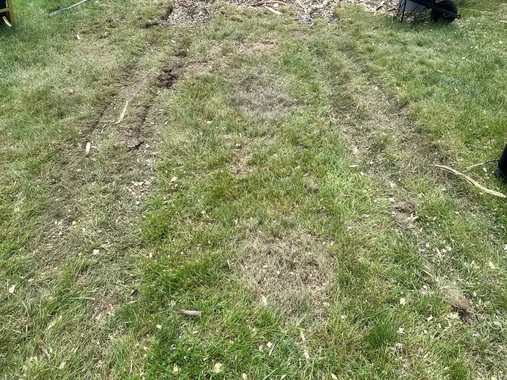 Local landscape installation for year-round maintenance across Franklin Township, NJ - Abraham Landscaping and Tree Service