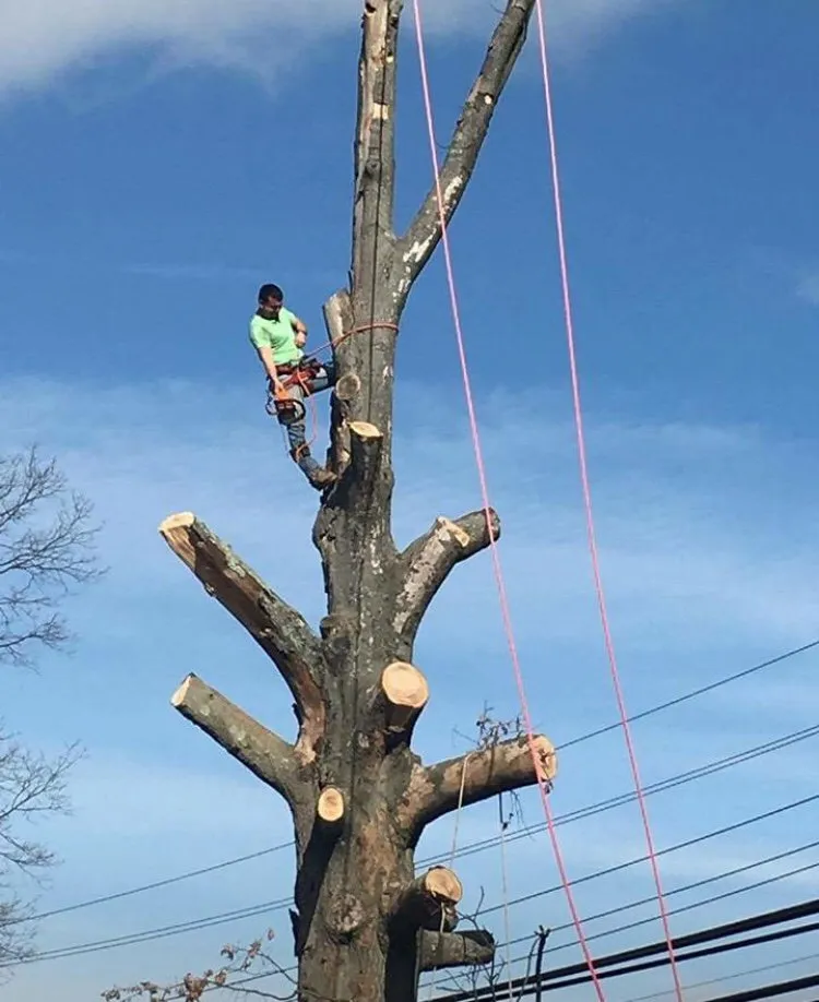 Local lawn care service experts serving Franklin Township, NJ - Abraham Landscaping and Tree Service