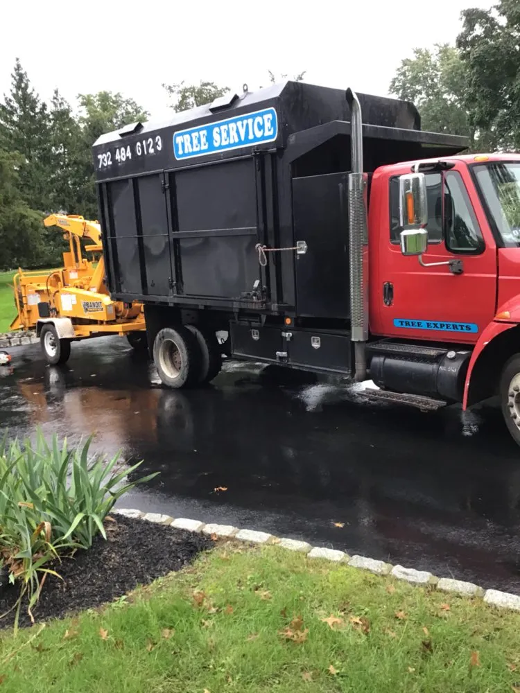 Professional yard maintenance experts serving Franklin Township, NJ - Abraham Landscaping and Tree Service
