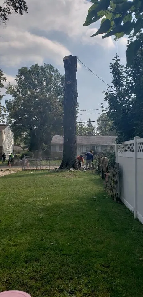 Professional yard maintenance for outdoor upgrades across Franklin Township, NJ - Abraham Landscaping and Tree Service