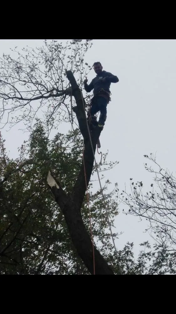 Expert outdoor landscaping with custom design across Franklin Township, NJ - Abraham Landscaping and Tree Service