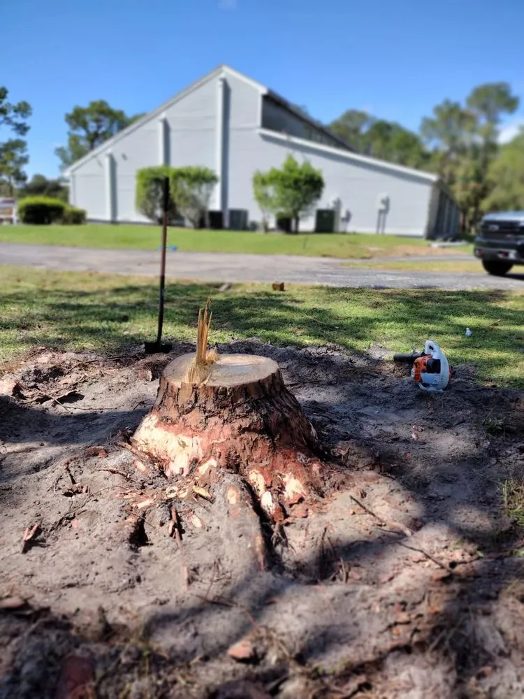 Affordable lawn care service for residential properties in Naples, FL by Abraham Landscaping