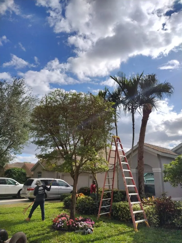 Reliable garden landscaping experts serving Naples, FL - Abraham Landscaping