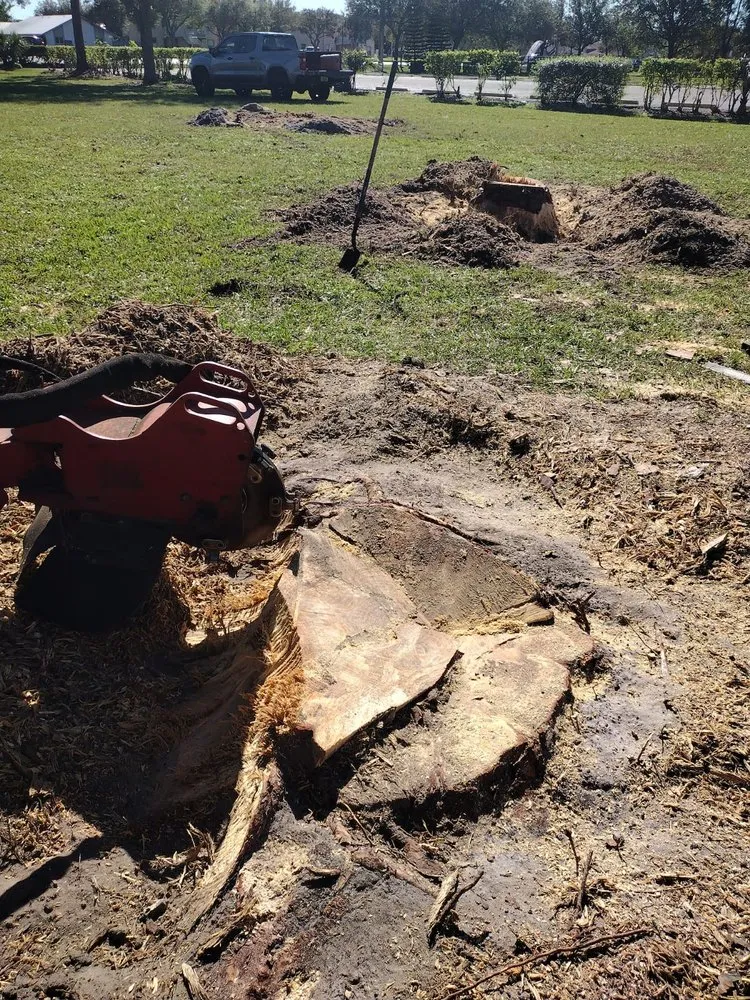 Custom landscaping services for year-round maintenance in Naples, FL by Abraham Landscaping