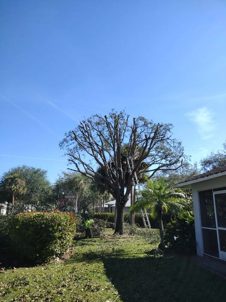 Reliable yard maintenance in Naples, FL by Abraham Landscaping